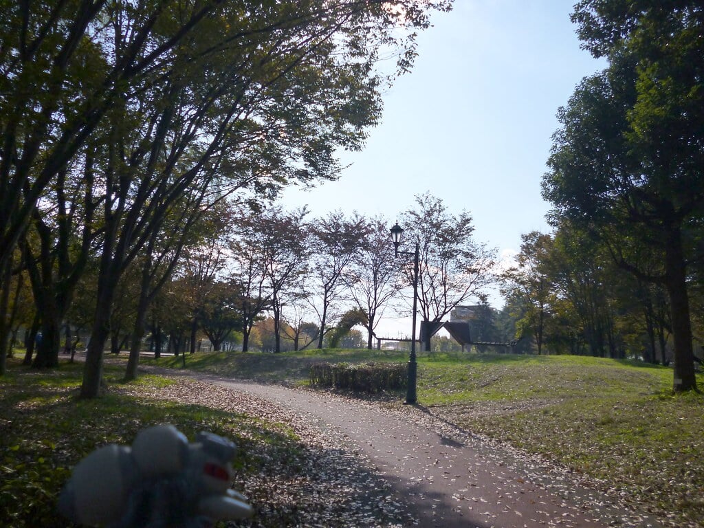 彩の森入間公園の写真7