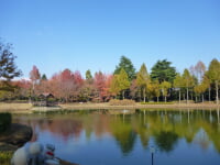 彩の森入間公園