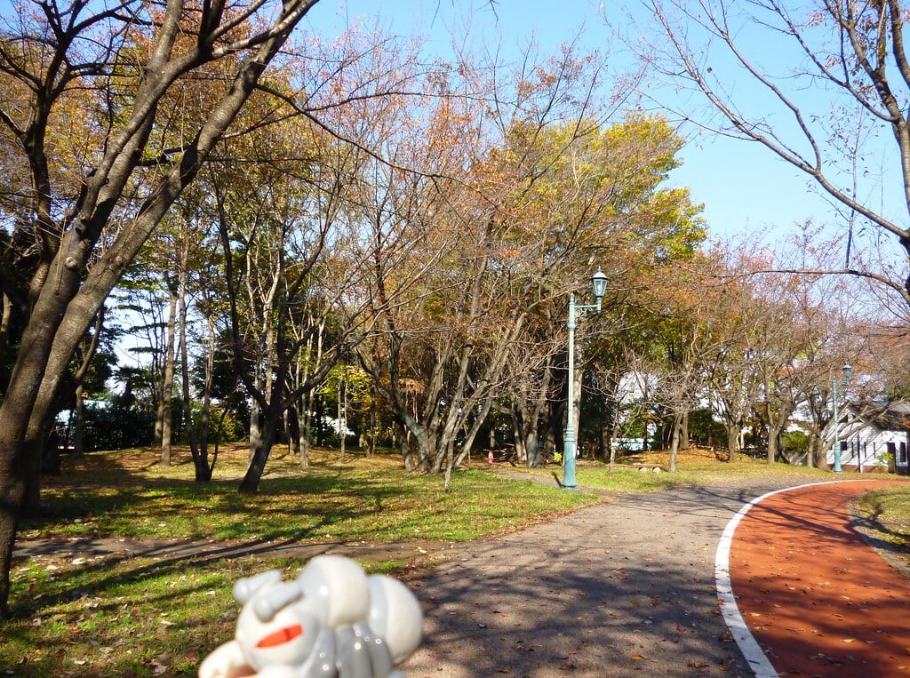 彩の森入間公園の写真10