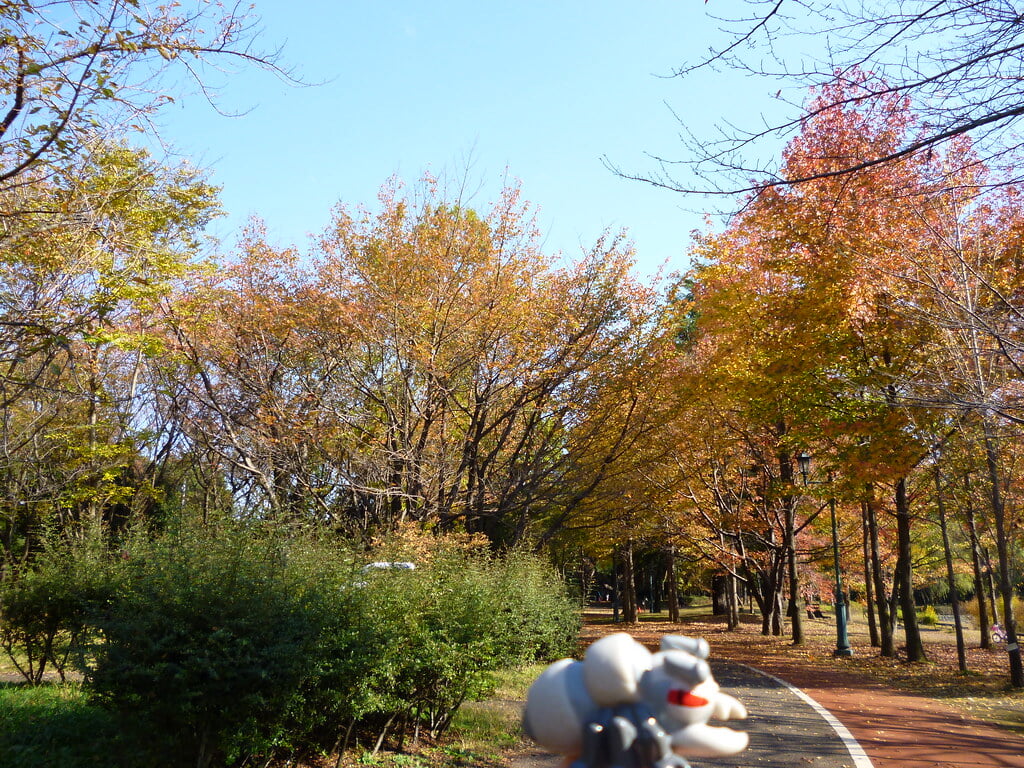 彩の森入間公園の写真11