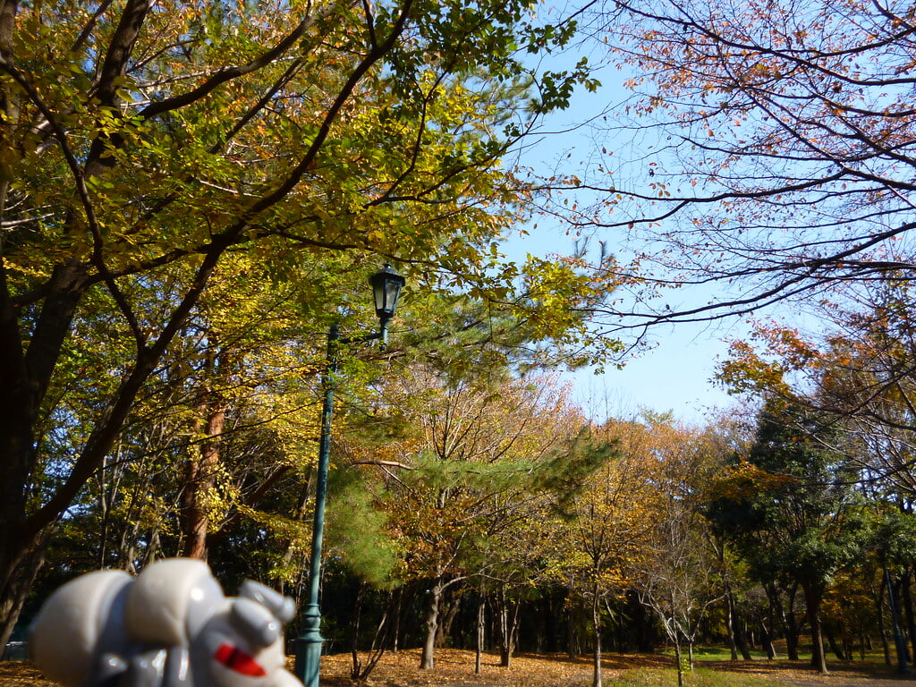 彩の森入間公園の写真13