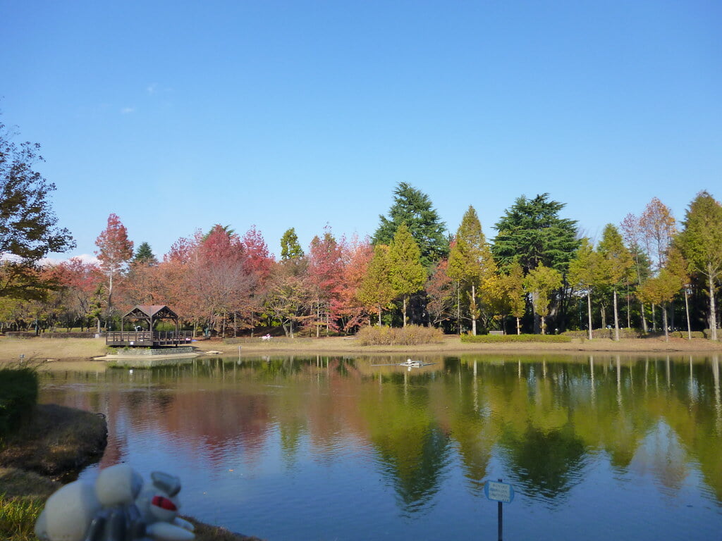 彩の森入間公園の写真1