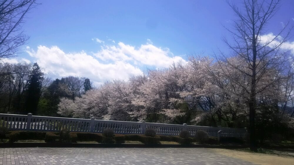 秩父ミューズパークの写真7