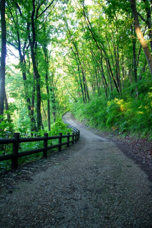 秩父ミューズパークの写真8