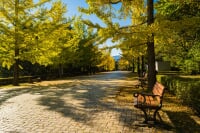 秩父ミューズパーク