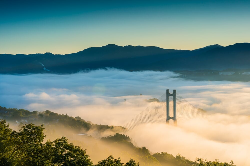 秩父ミューズパークの写真14