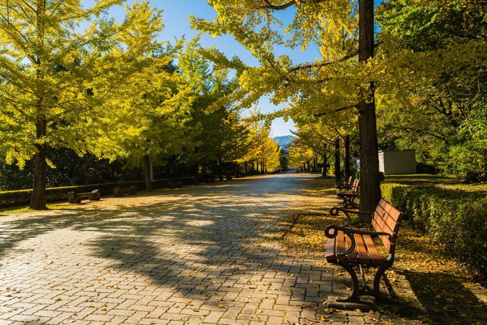 秩父ミューズパークの写真1