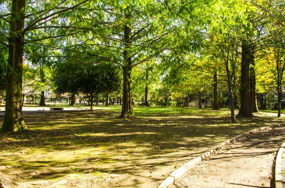 伊奈町町制施行記念公園の写真2