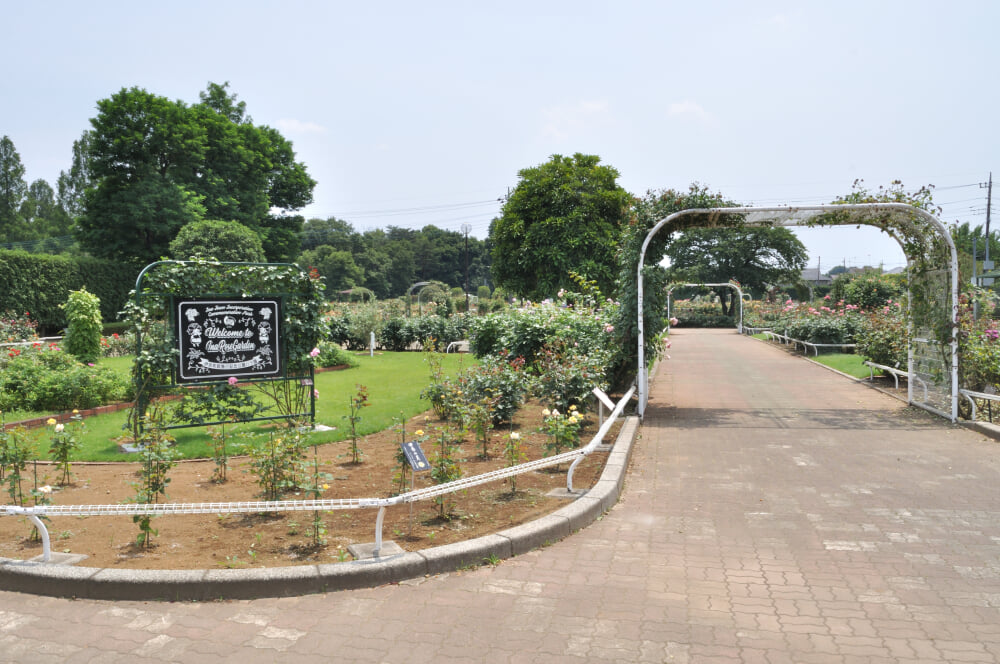 伊奈町町制施行記念公園の写真4