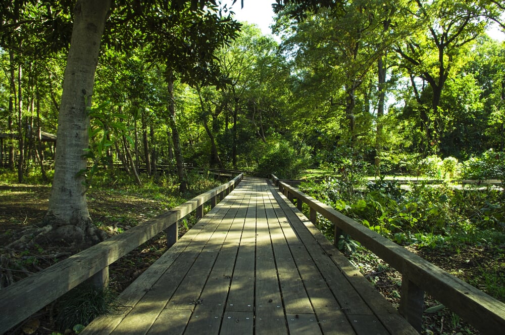伊奈町町制施行記念公園の写真5
