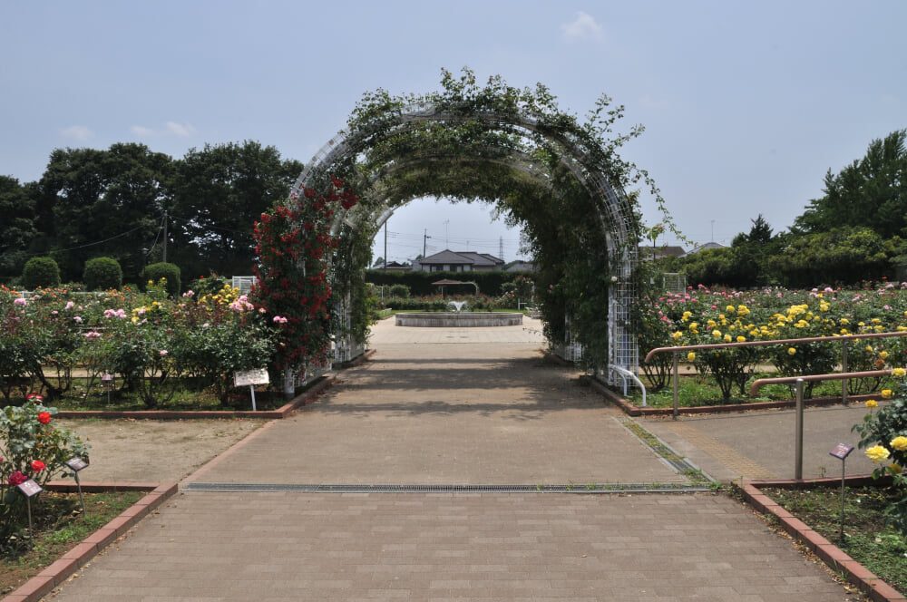 伊奈町町制施行記念公園の写真8