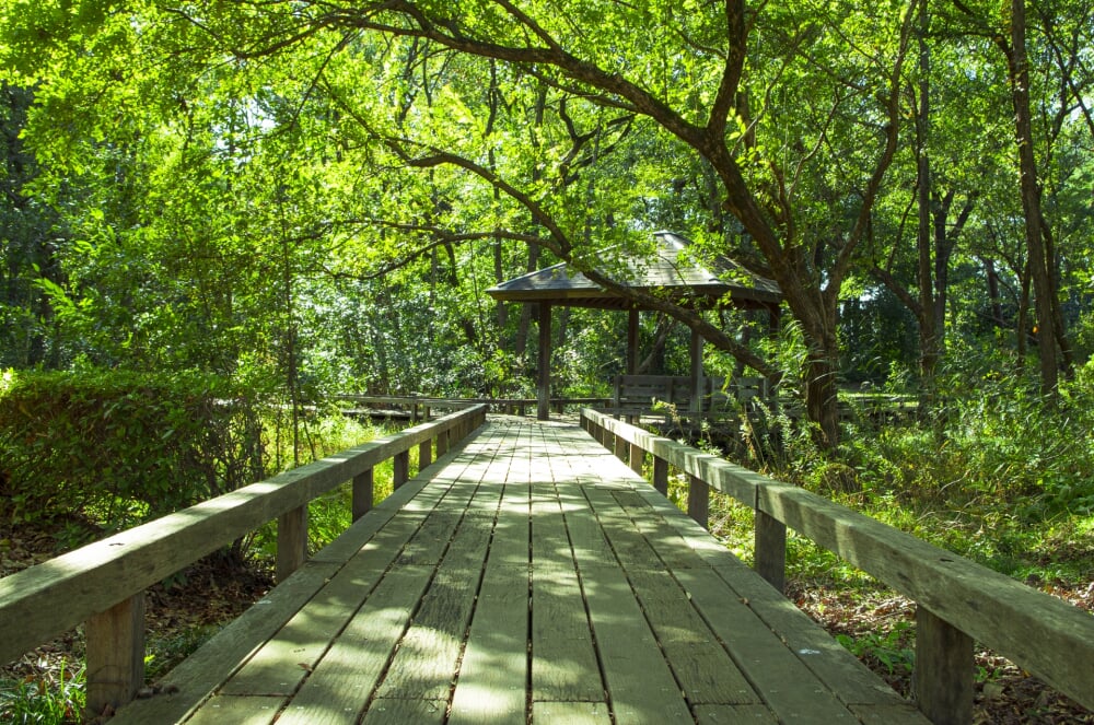伊奈町町制施行記念公園の写真9
