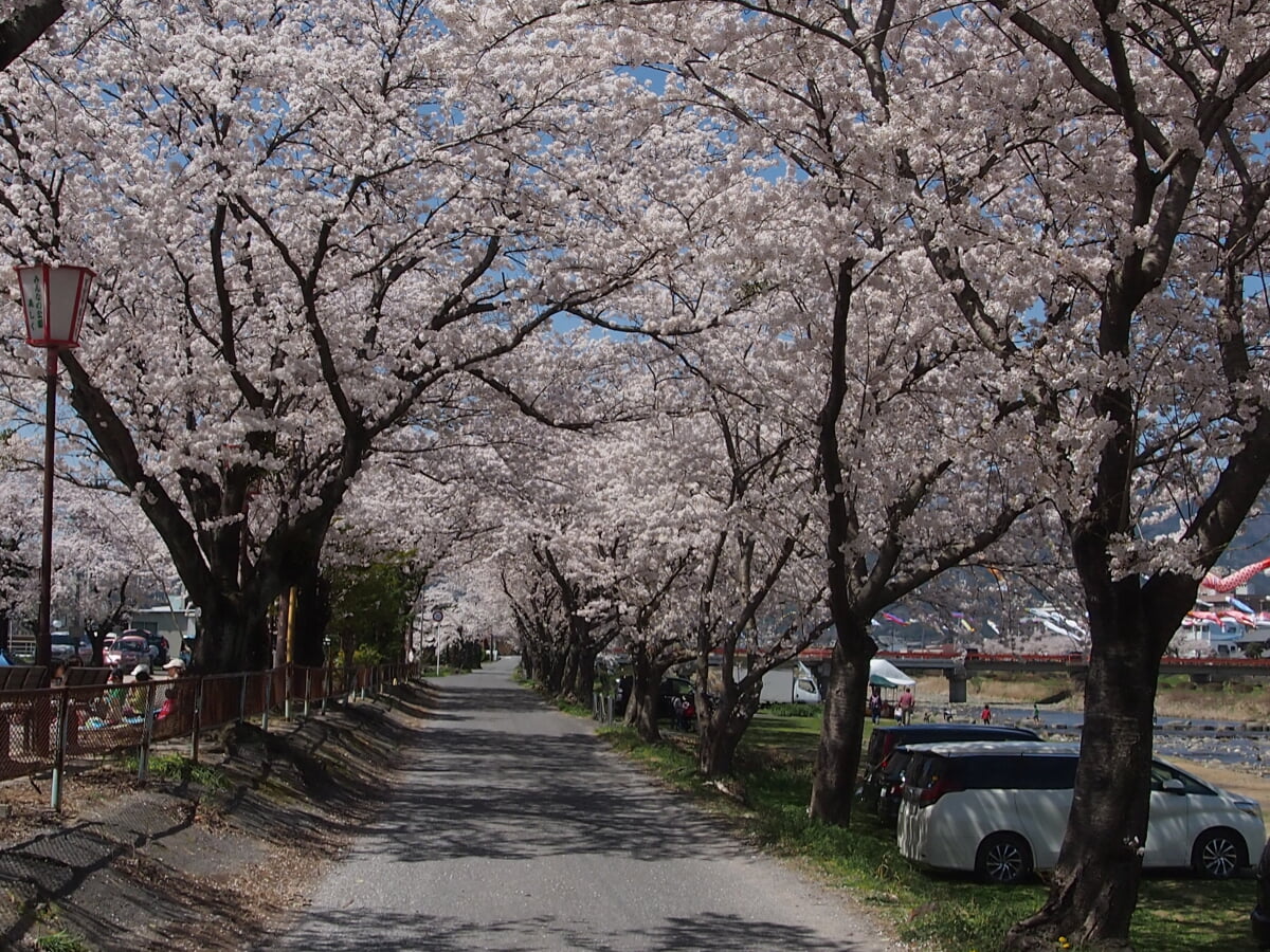 相川水辺公園の写真1