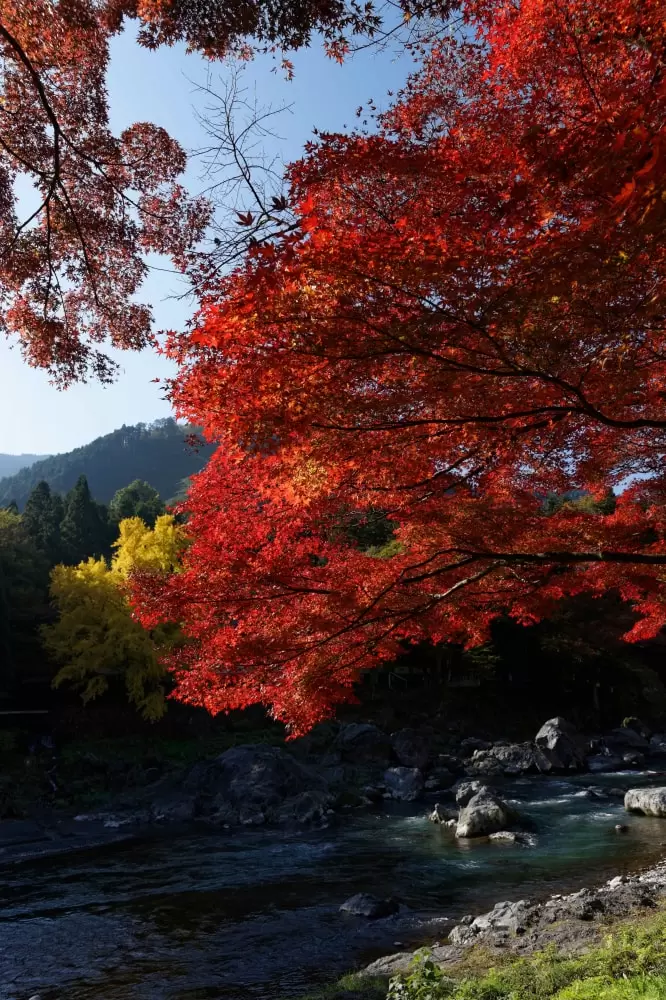 御岳渓谷の写真1