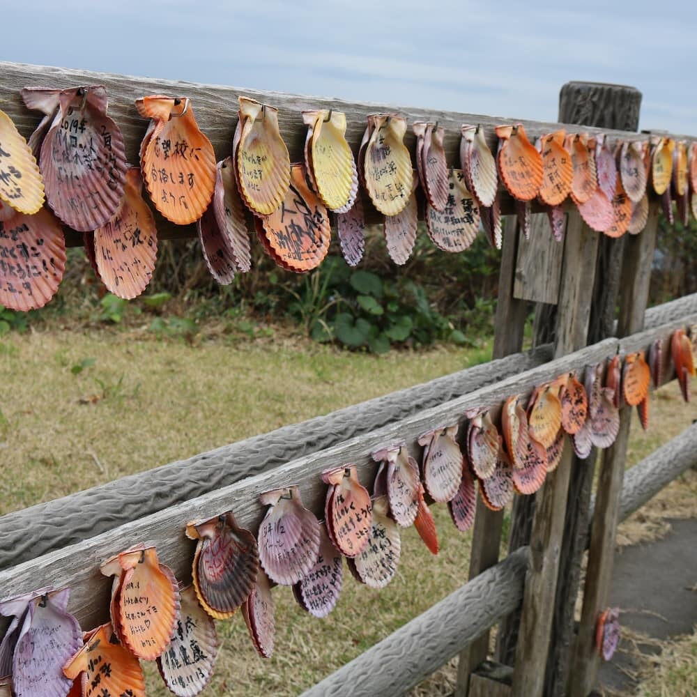 番所鼻自然公園の写真2