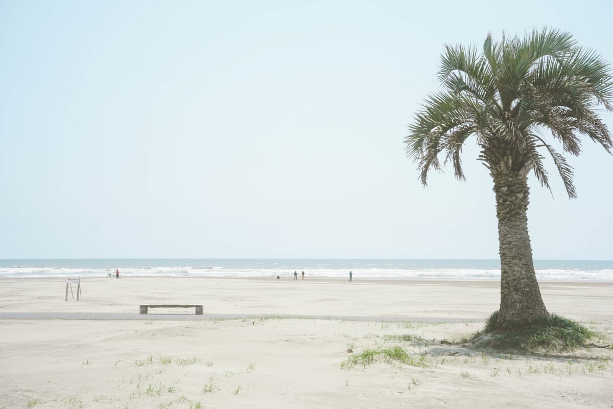 本須賀海水浴場の写真7