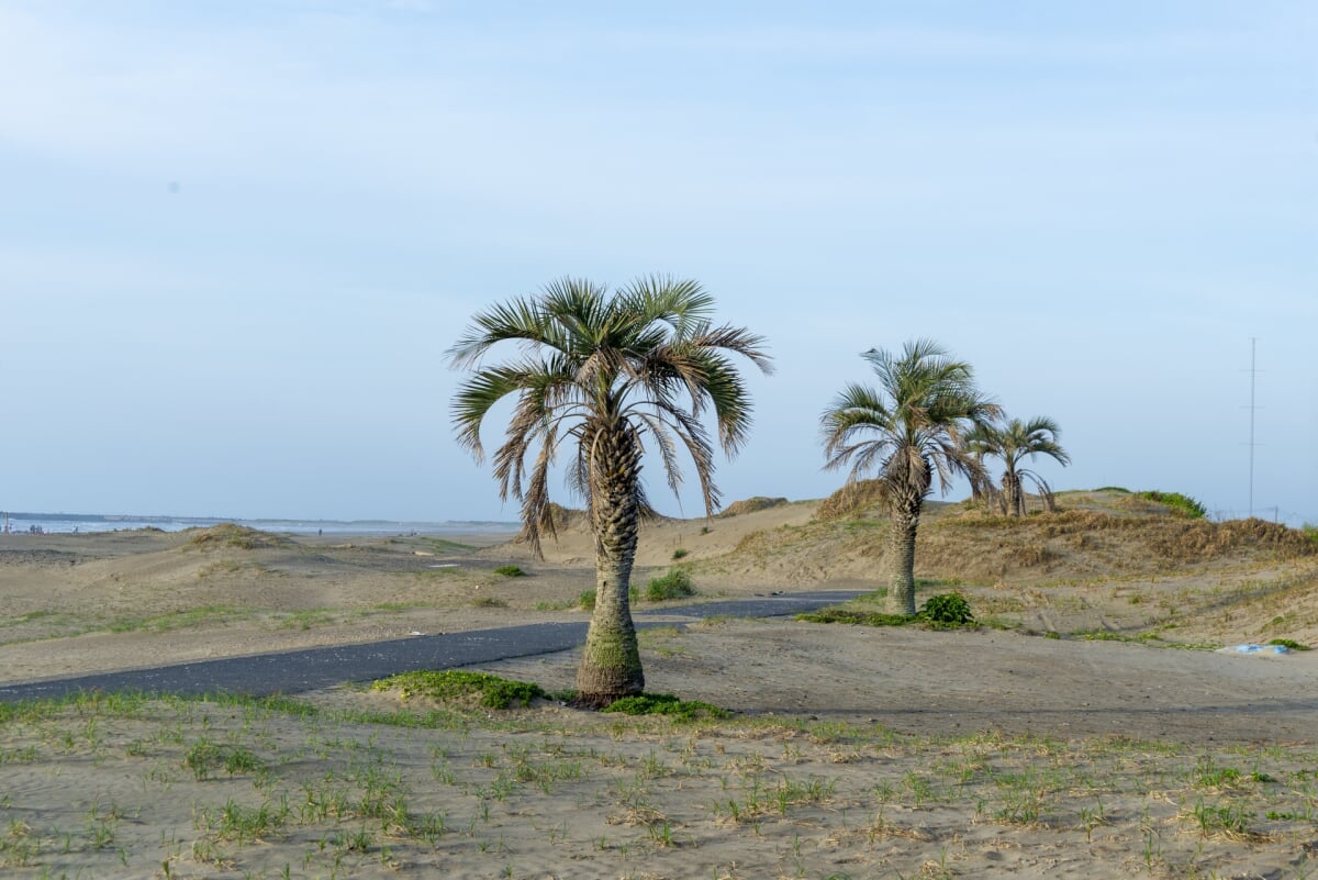 本須賀海水浴場の写真8