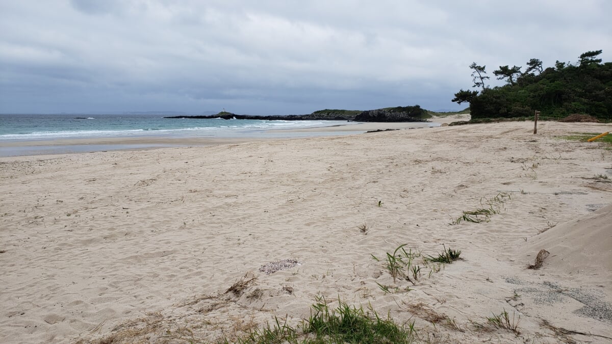 大浜海水浴場の写真8