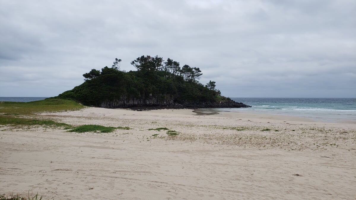 大浜海水浴場の写真10