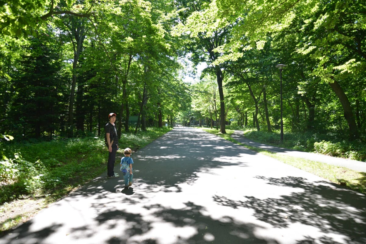 青葉公園の写真4