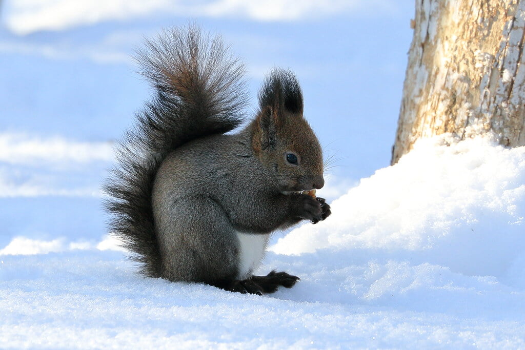 青葉公園の写真5