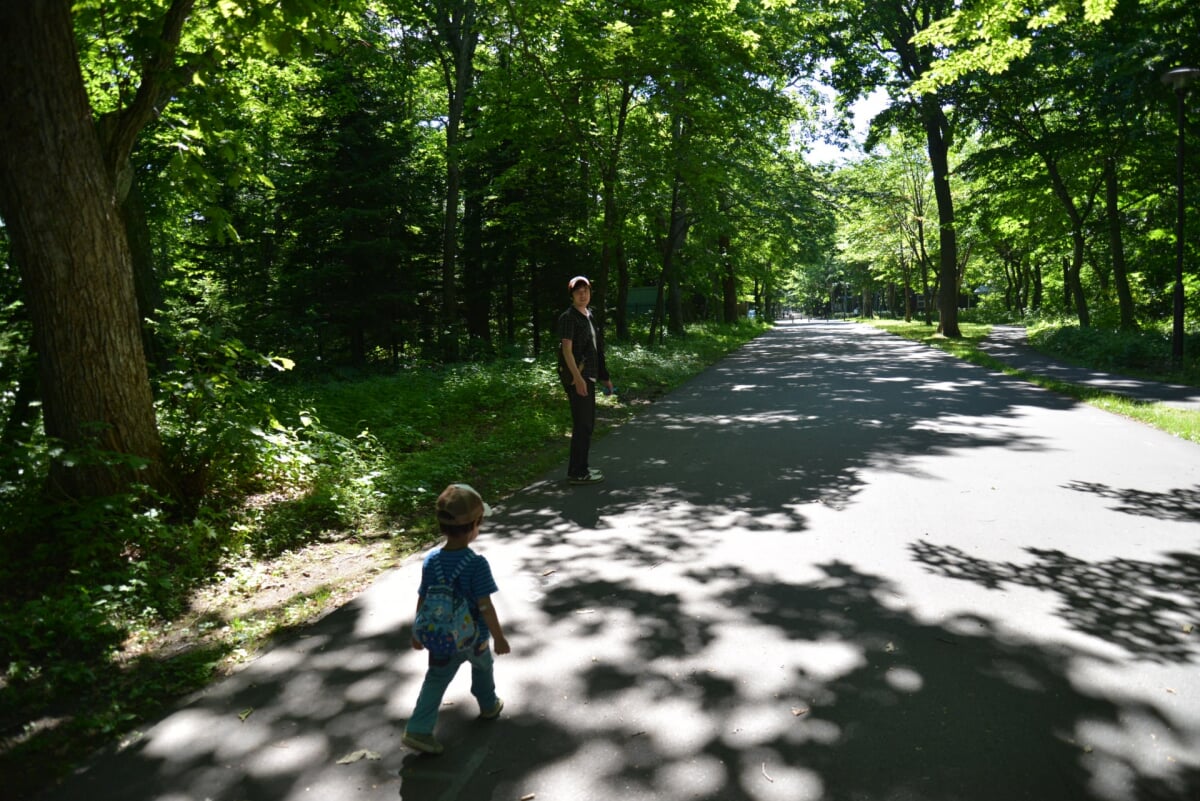 青葉公園の写真1