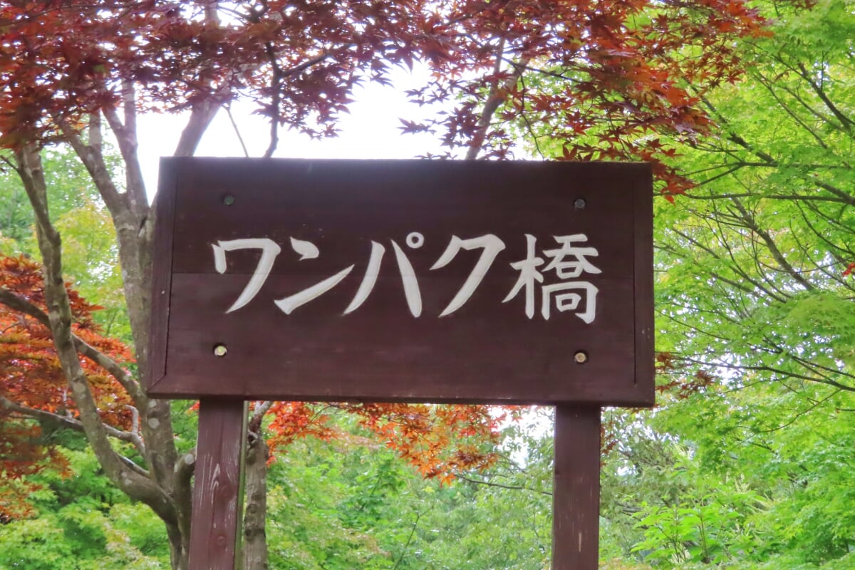 広島市森林公園の写真2