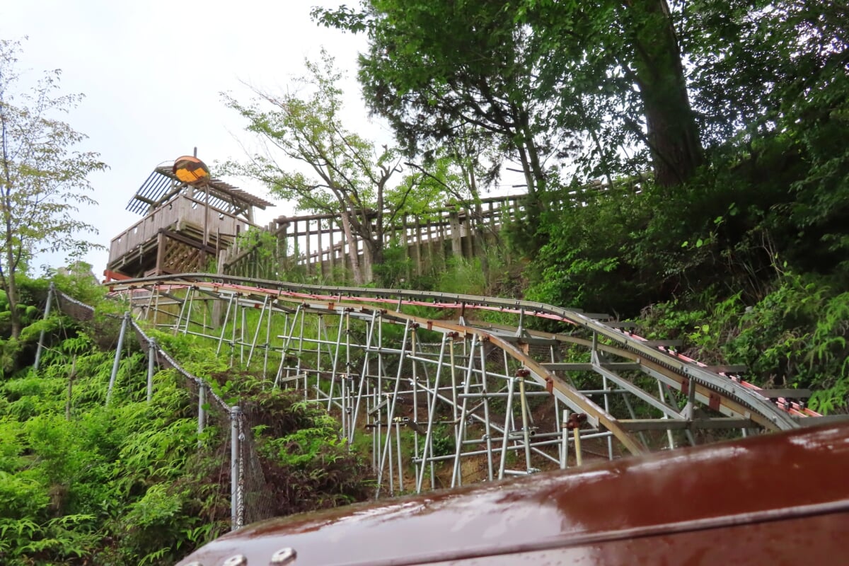 広島市森林公園の写真5