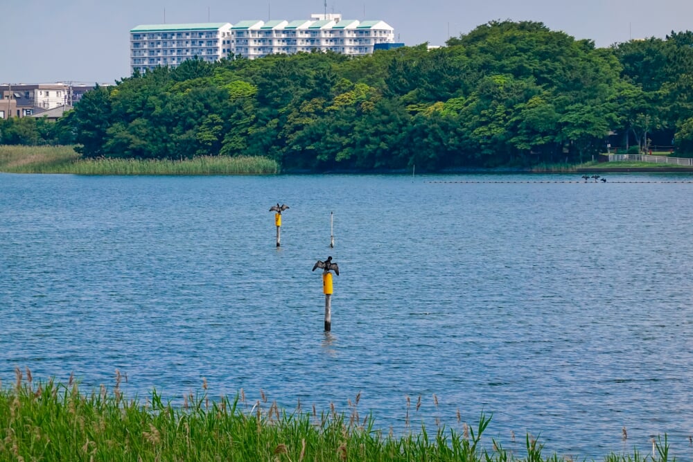 谷津干潟自然観察センターの写真2