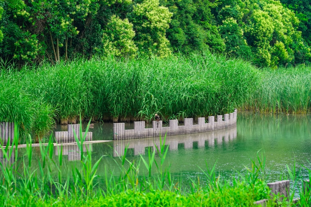 谷津干潟自然観察センターの写真3