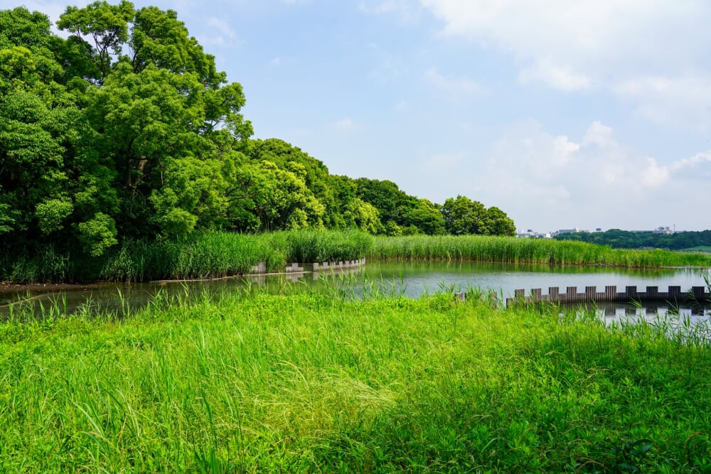 谷津干潟自然観察センターの写真4