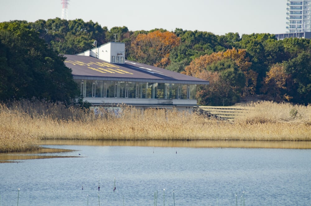 谷津干潟自然観察センターの写真5