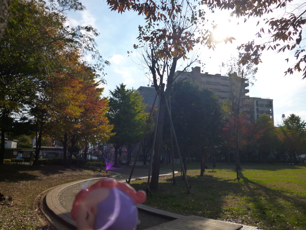 尾久の原公園の写真2