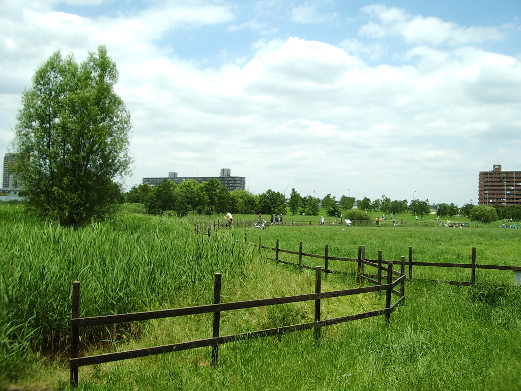 尾久の原公園の写真7