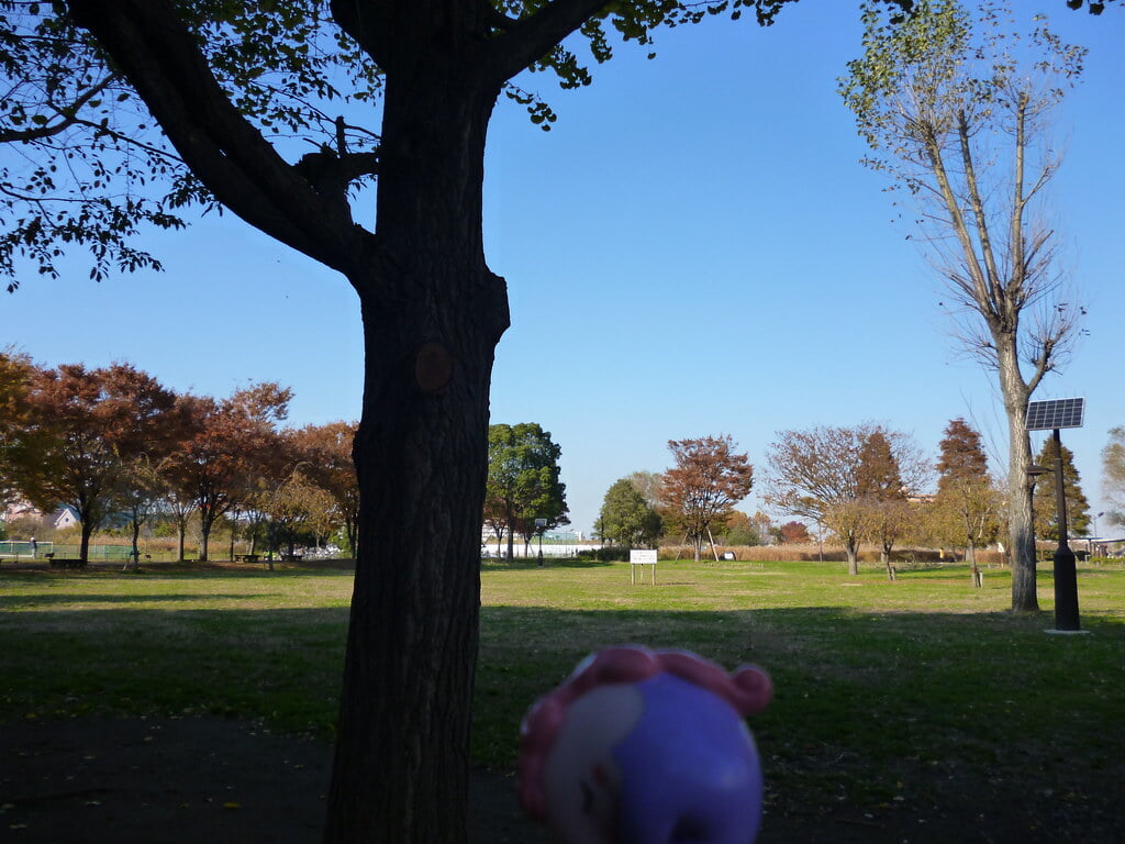 尾久の原公園の写真9