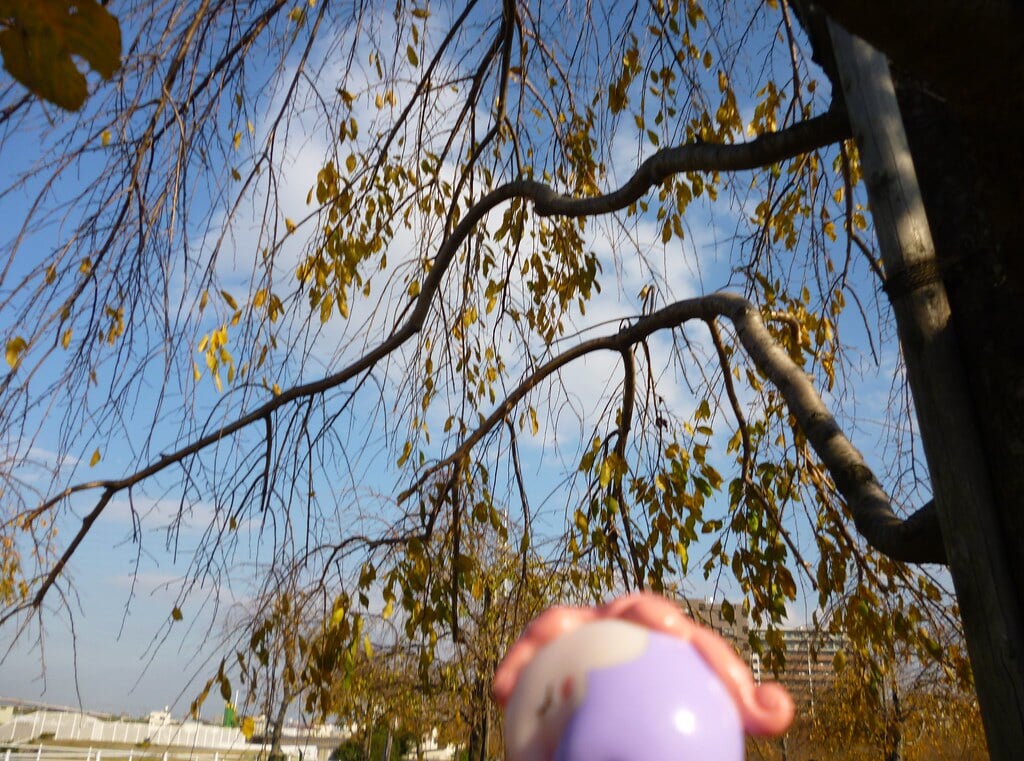 尾久の原公園の写真10