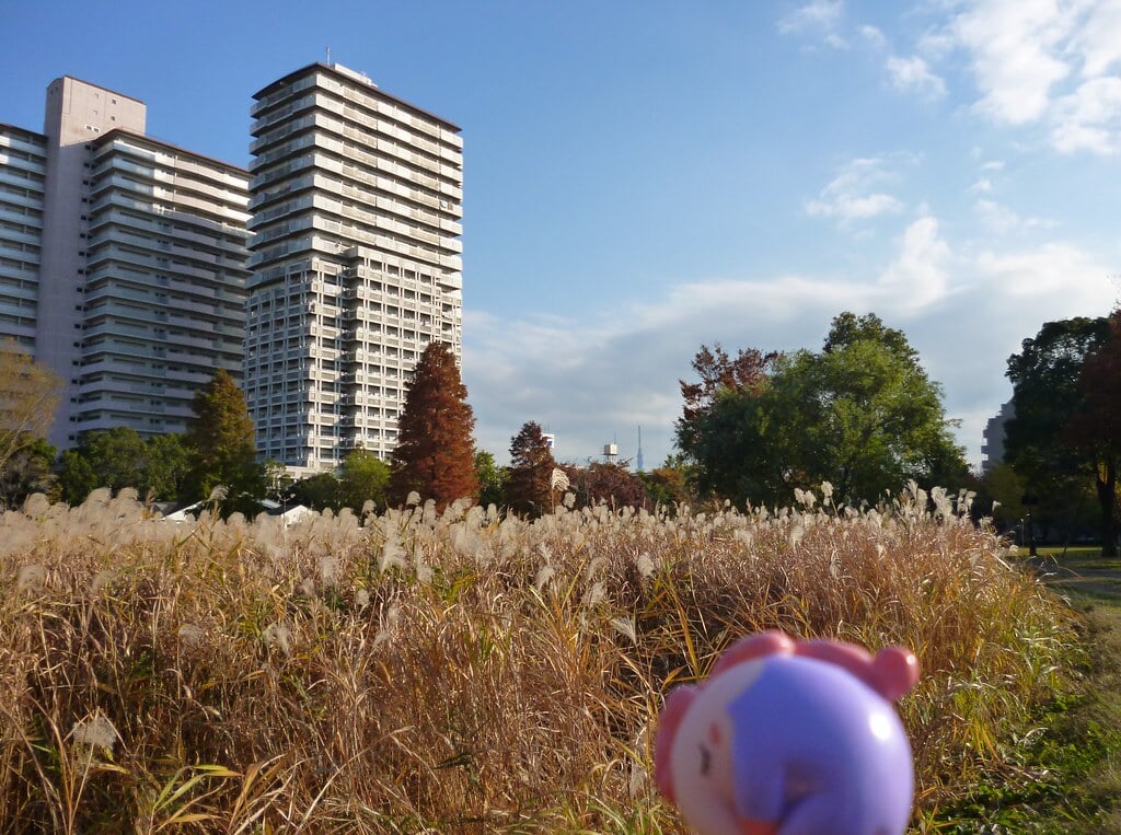 尾久の原公園の写真11