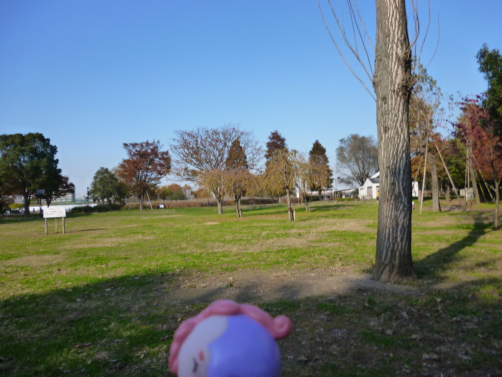 尾久の原公園の写真12