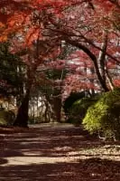 都立 桜ヶ丘公園