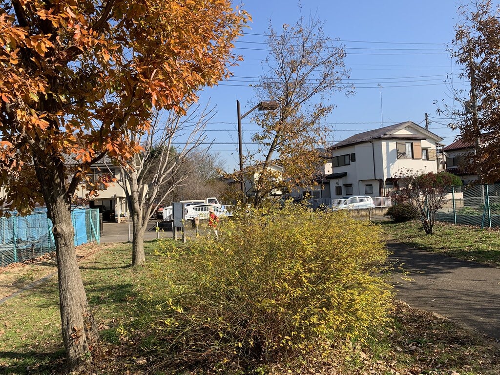 都立六仙公園の写真2