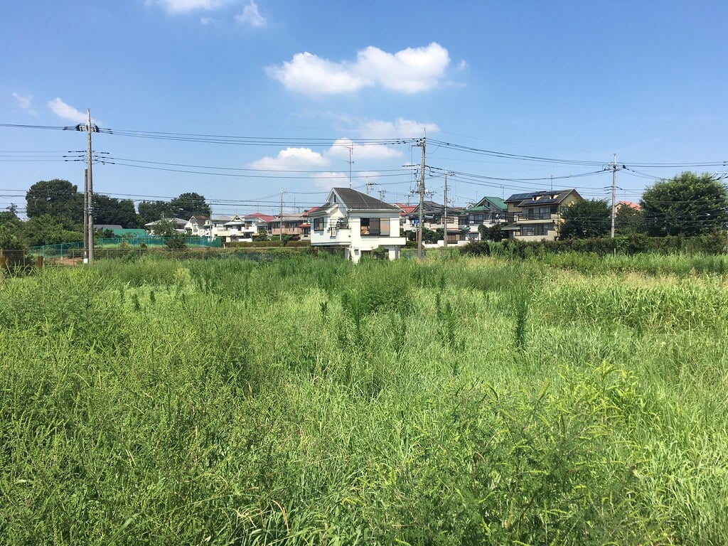 都立六仙公園の写真3