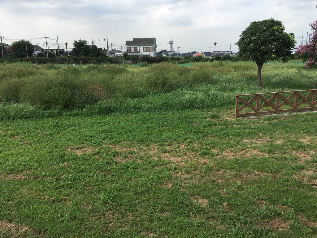 都立六仙公園の写真6
