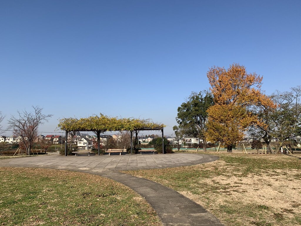 都立六仙公園の写真9