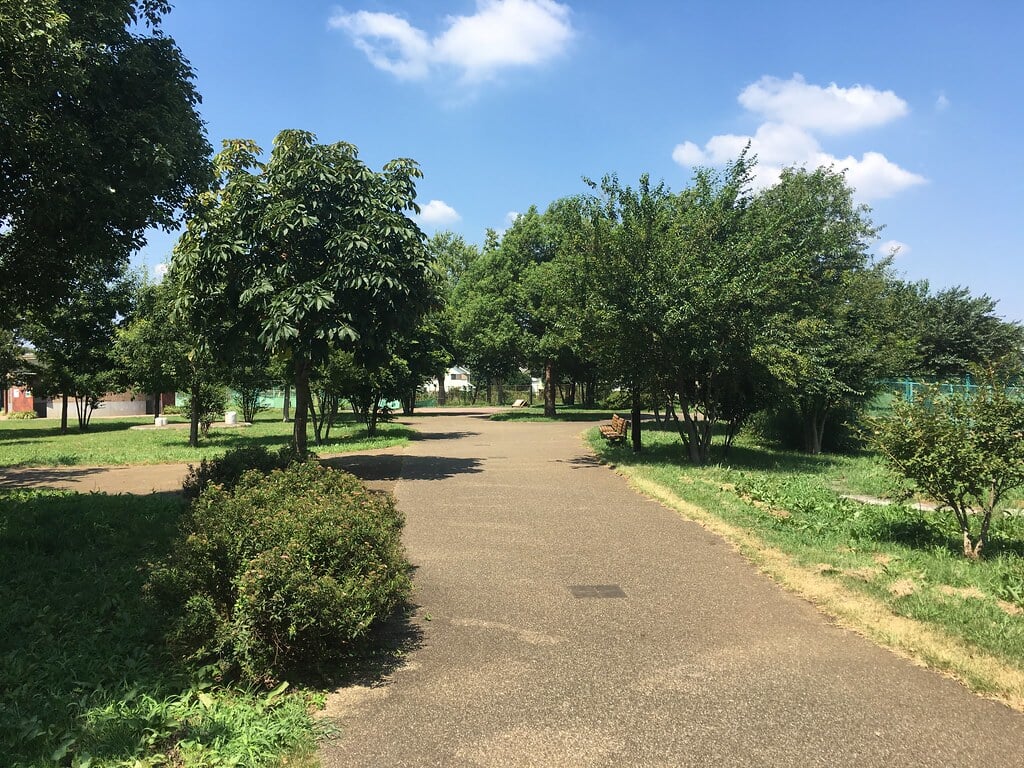 都立六仙公園の写真12