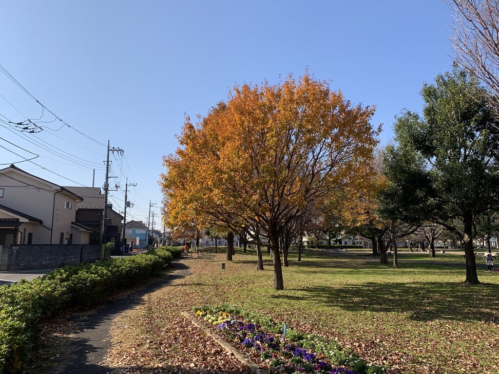 都立六仙公園の写真17