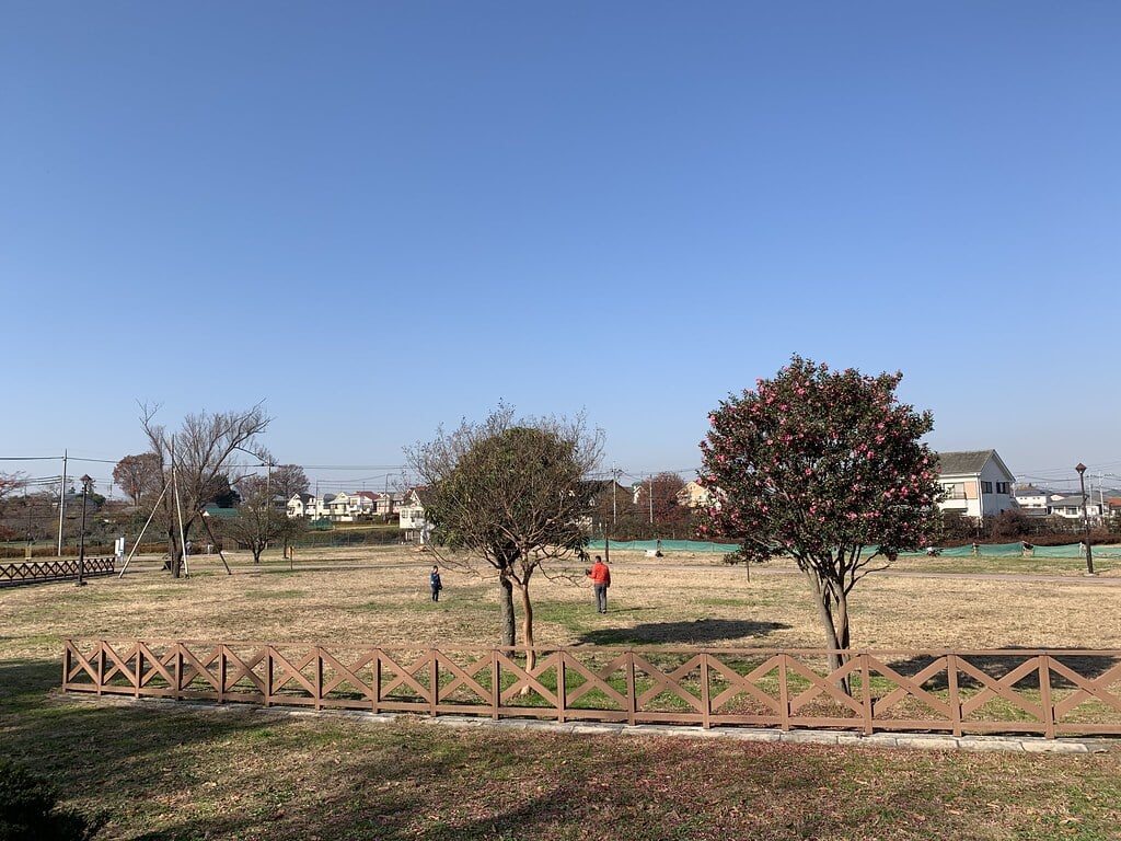 都立六仙公園の写真18