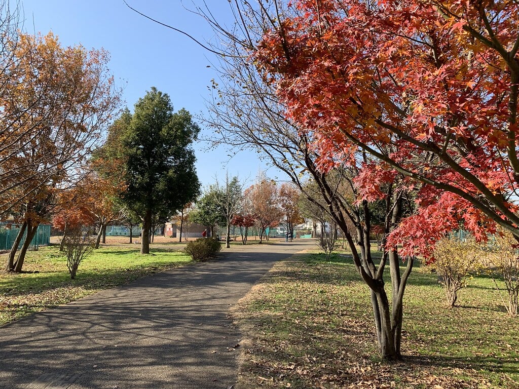 都立六仙公園の写真1