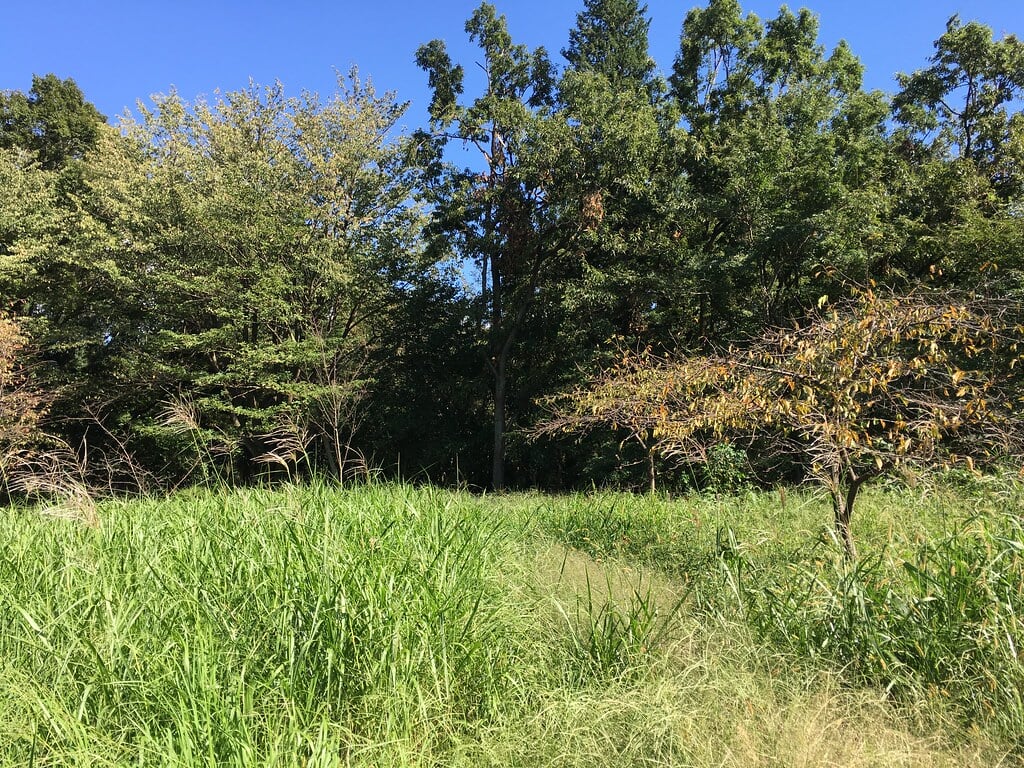 小山内裏公園の写真2