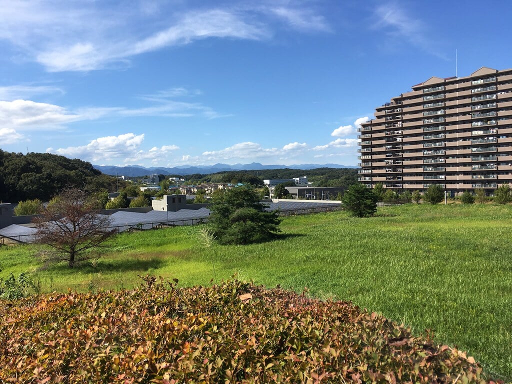 小山内裏公園の写真4