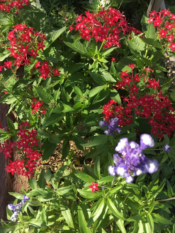 小山内裏公園の写真5